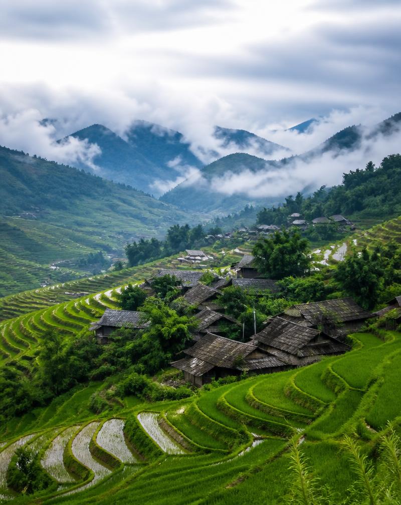 Vịnh Hạ Long